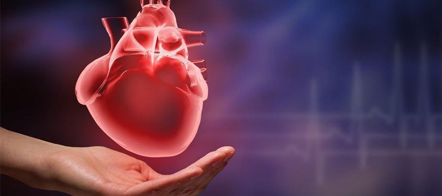 kan testleri kalp sağlığını kontrol eder